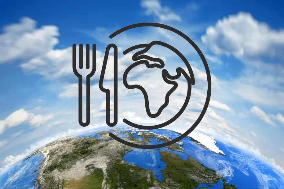 The role of packaging in reducing food waste | Invopak