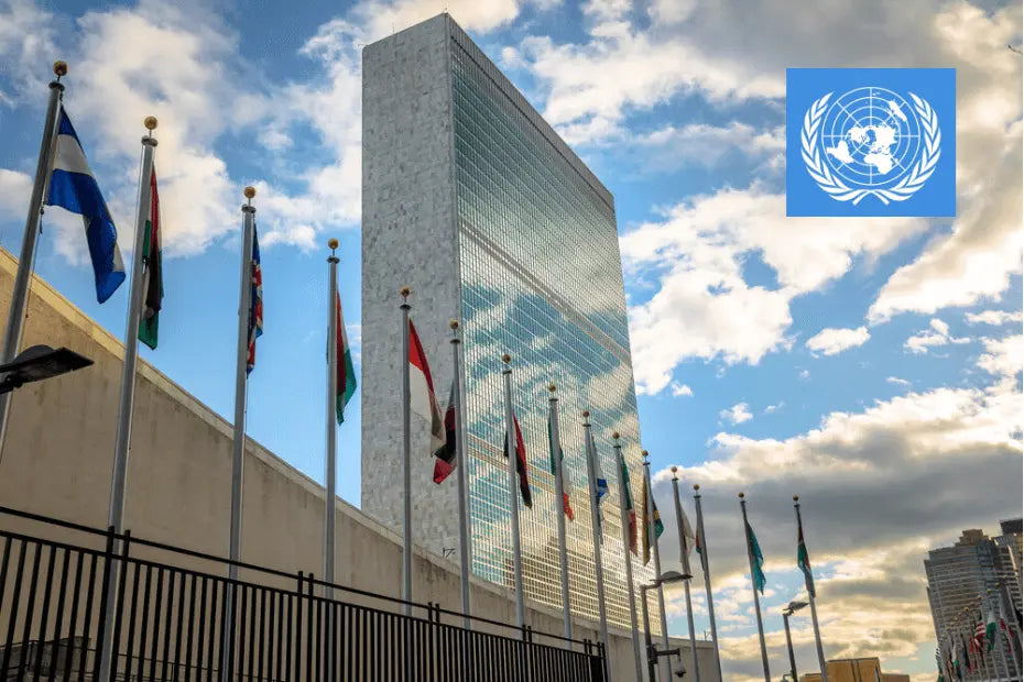 UN Approved Packaging Regulations, Codes and Product Safety
