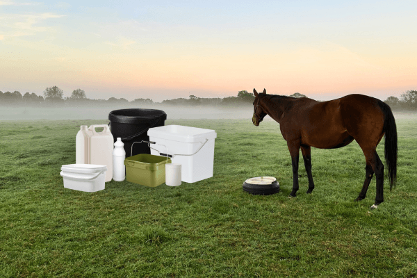 Horse standing in a field with various equestrian supplies including buckets and a water bowl.